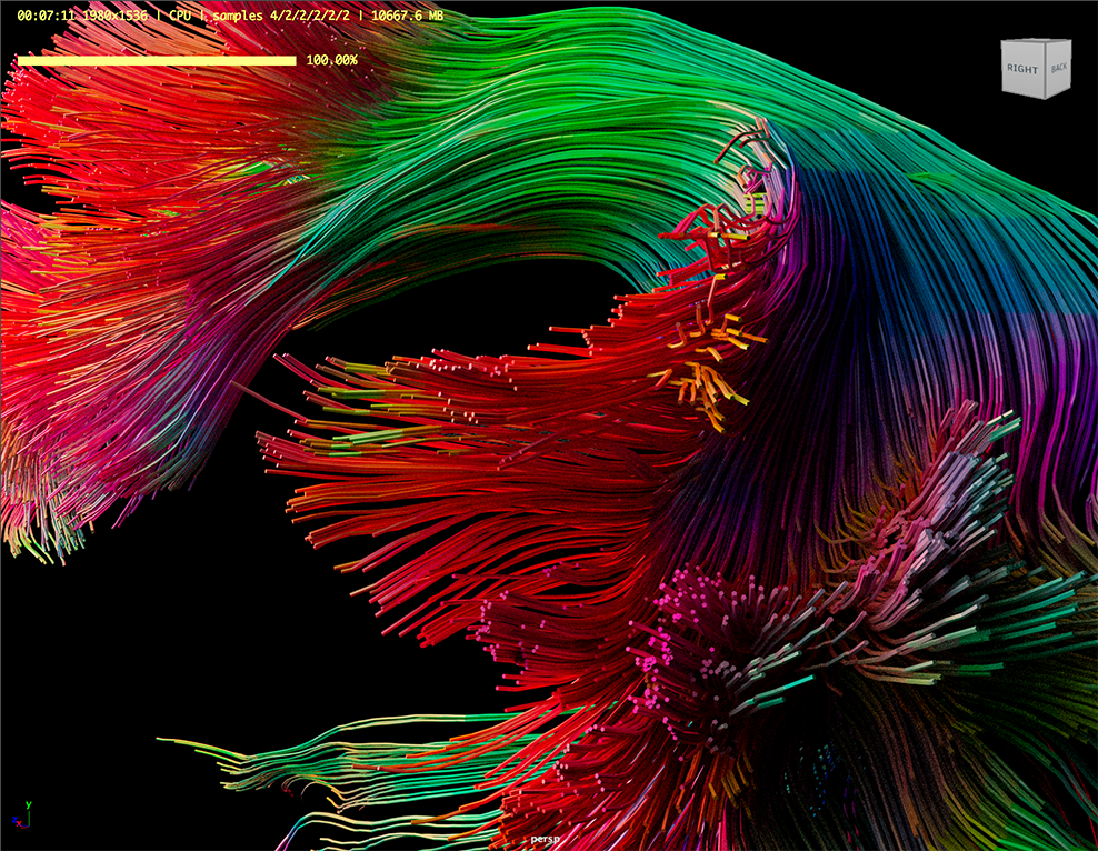 Tractography rendering